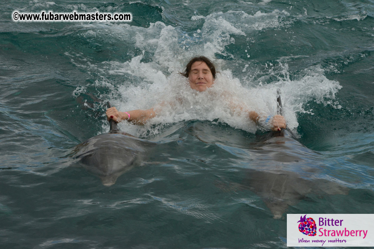 WireCard Dolphin Swim