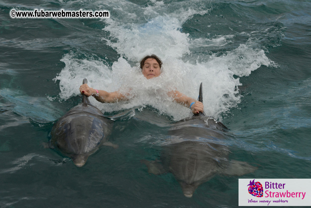 WireCard Dolphin Swim