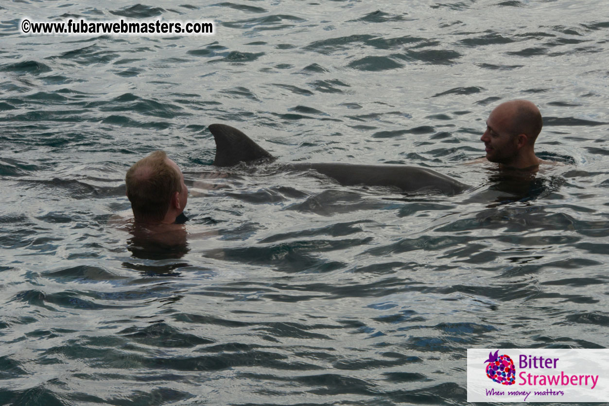 WireCard Dolphin Swim