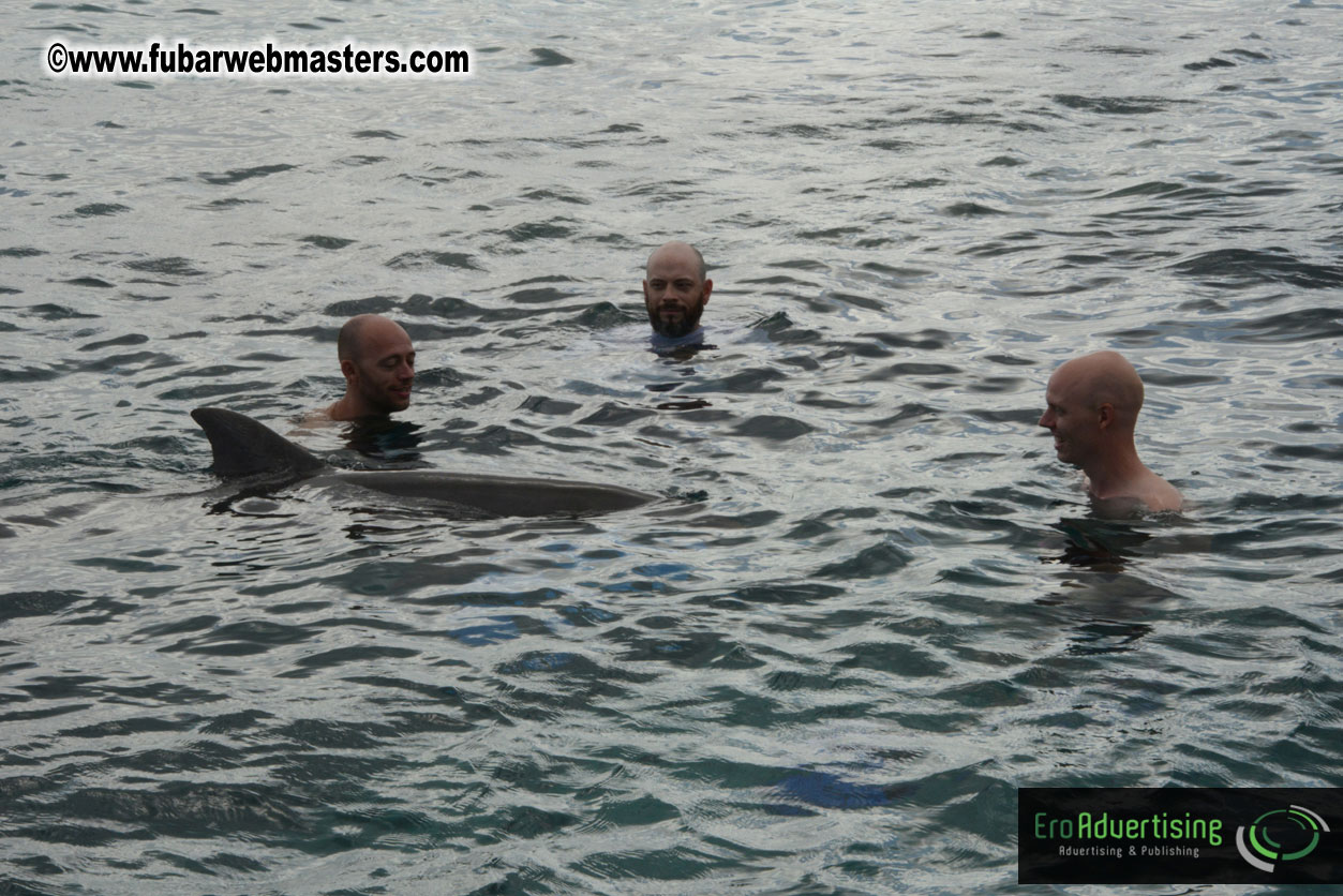 WireCard Dolphin Swim