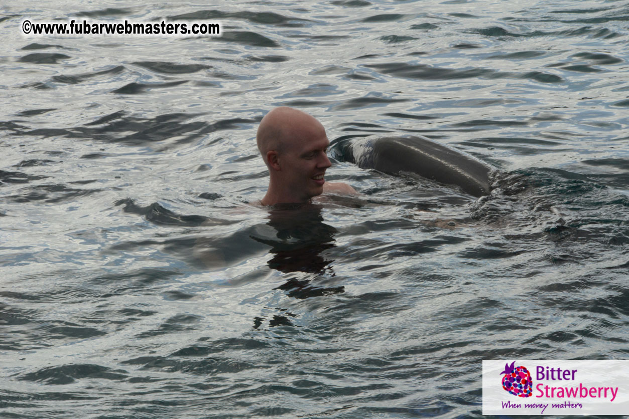 WireCard Dolphin Swim