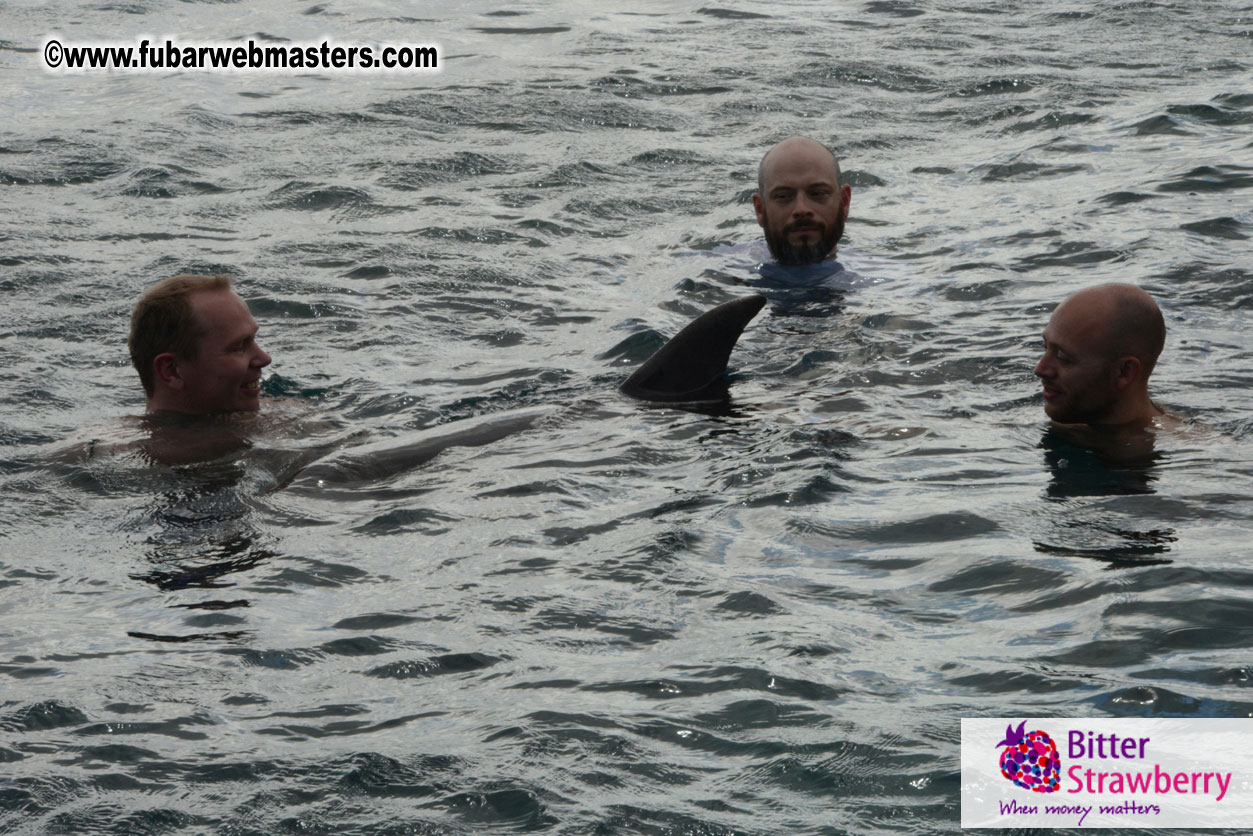 WireCard Dolphin Swim