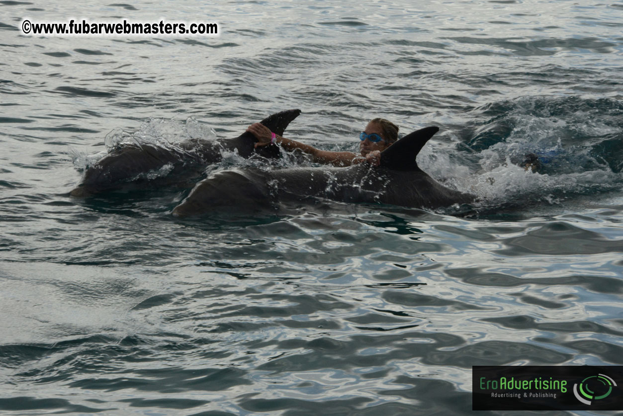 WireCard Dolphin Swim