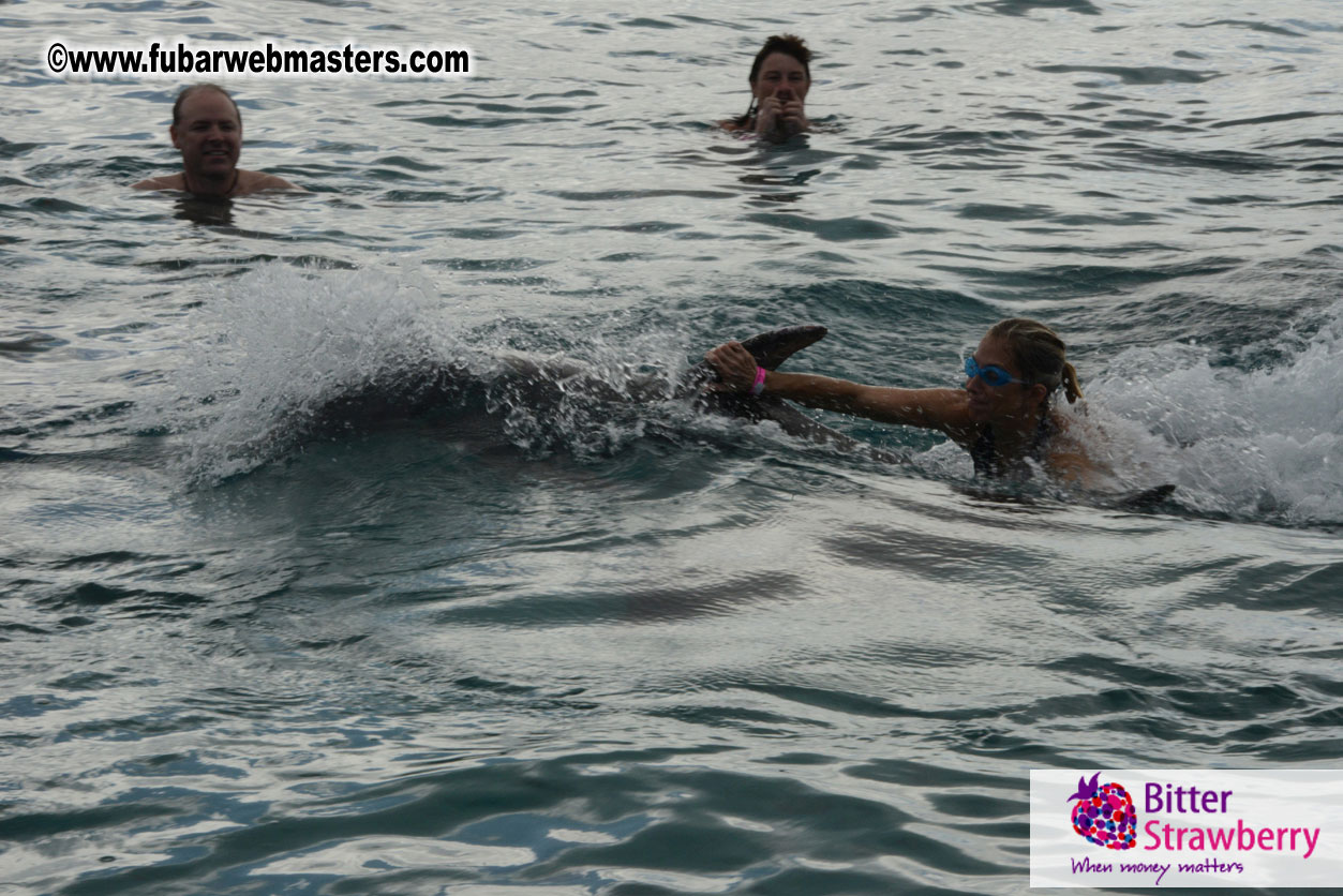 WireCard Dolphin Swim