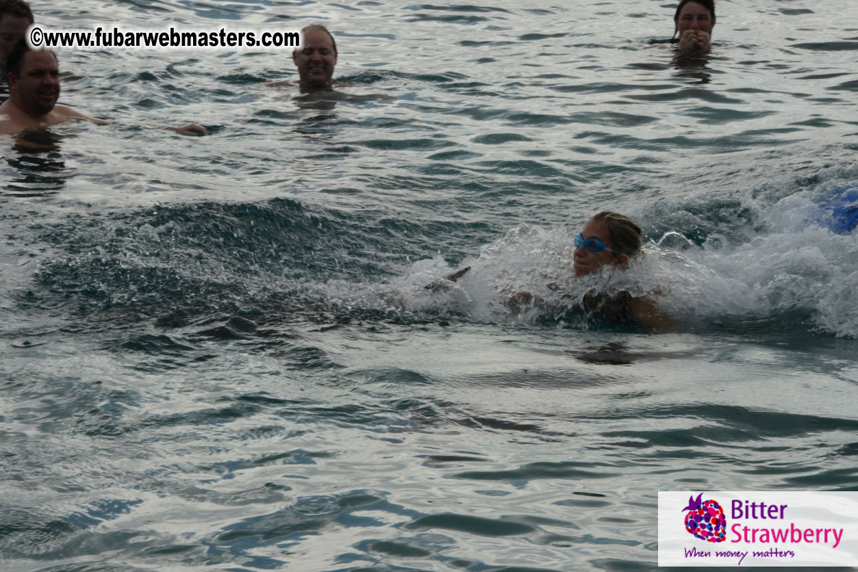 WireCard Dolphin Swim