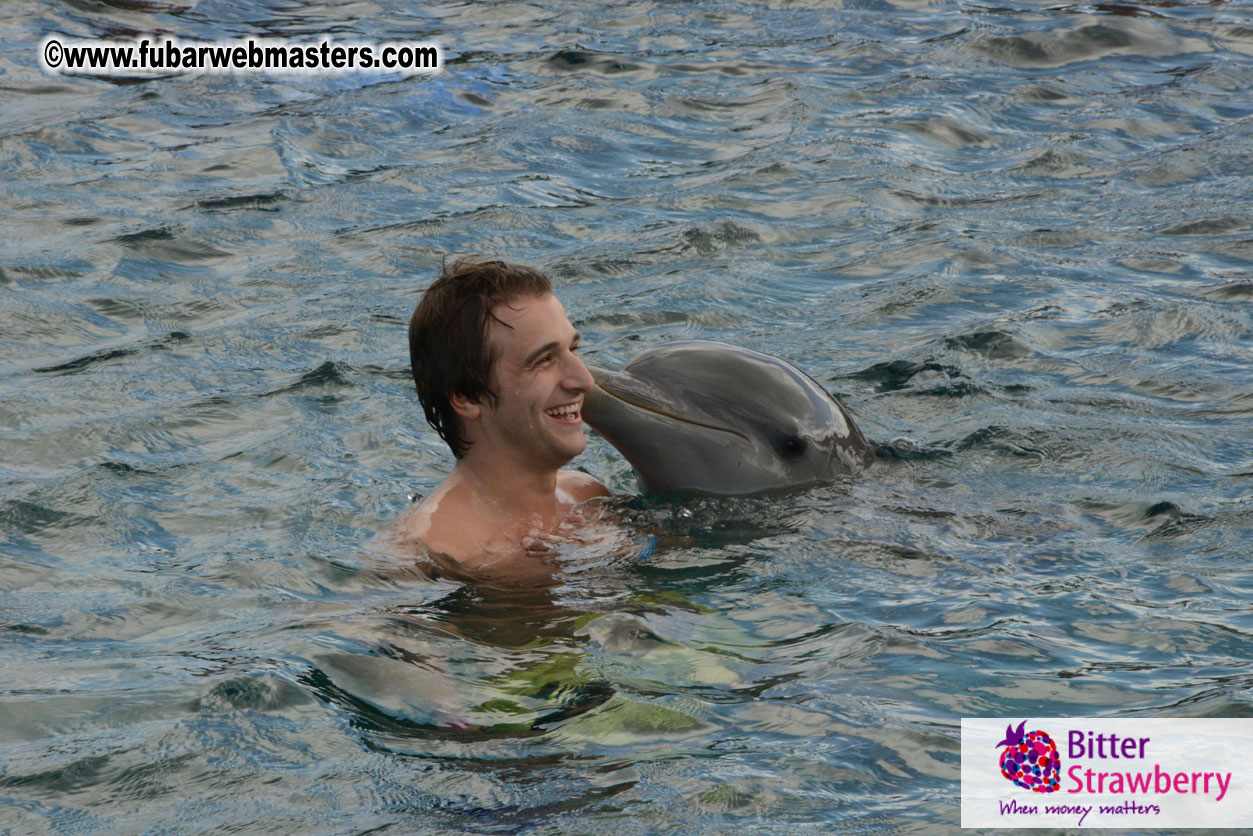 WireCard Dolphin Swim