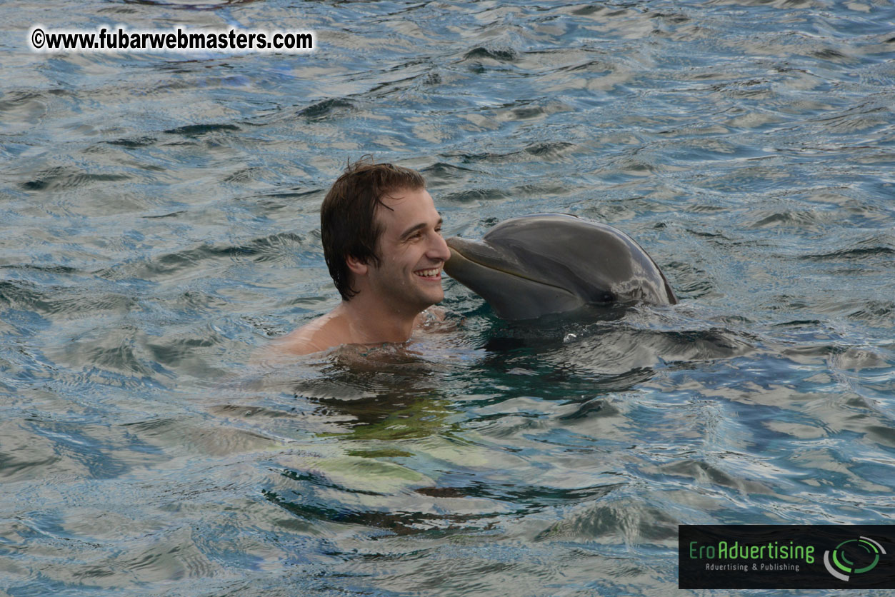 WireCard Dolphin Swim