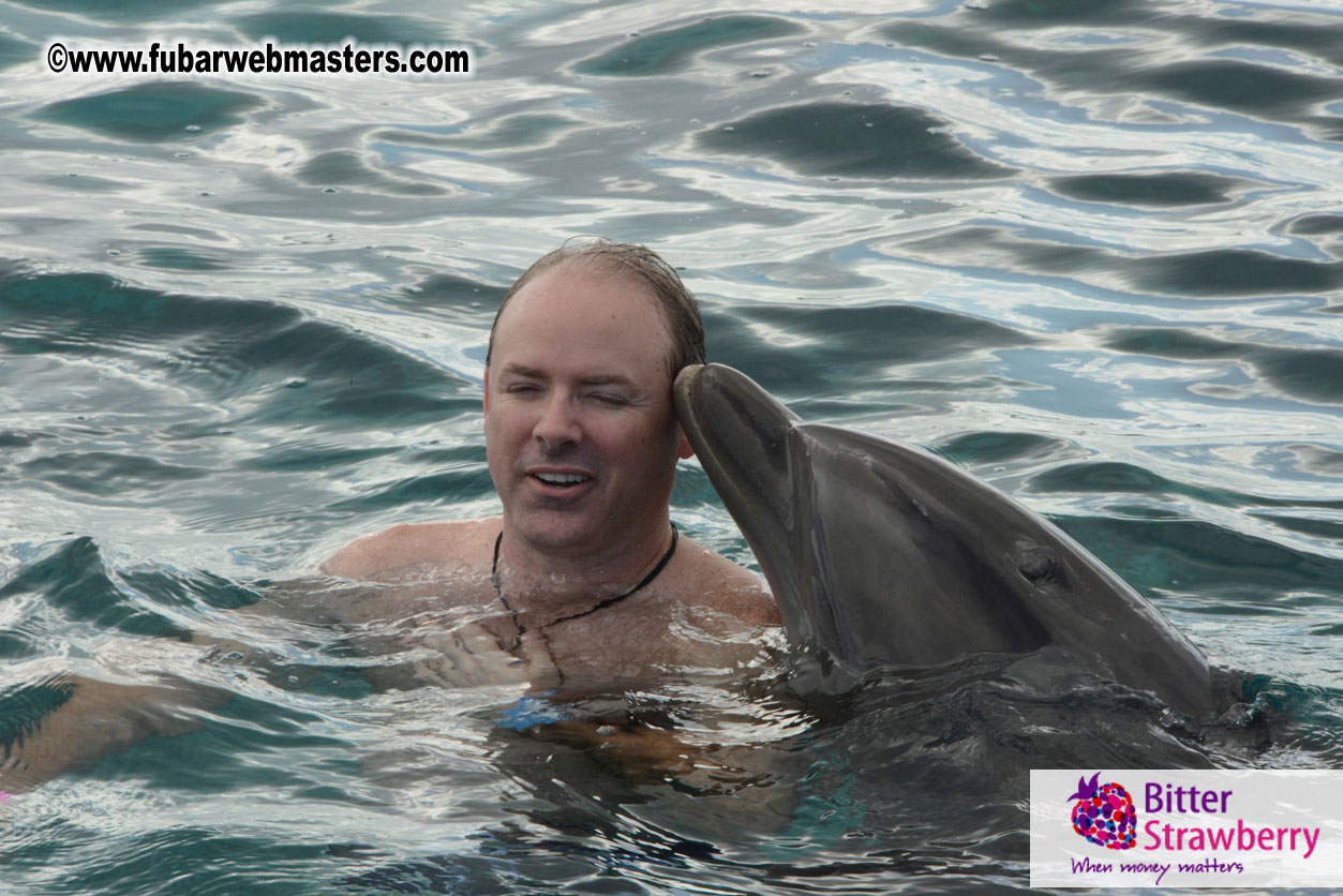 WireCard Dolphin Swim