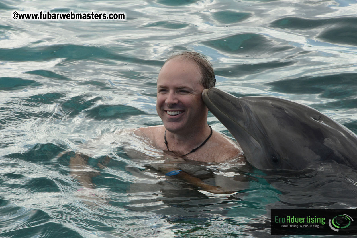 WireCard Dolphin Swim