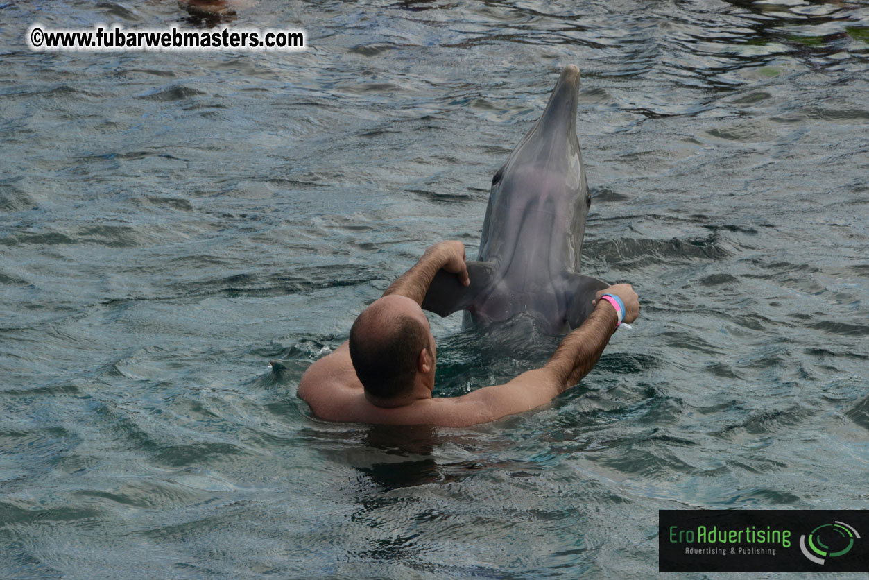 WireCard Dolphin Swim