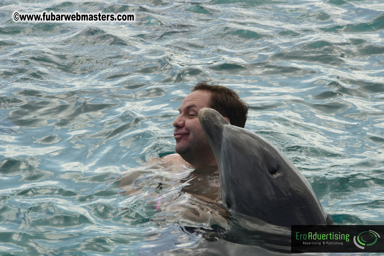 WireCard Dolphin Swim