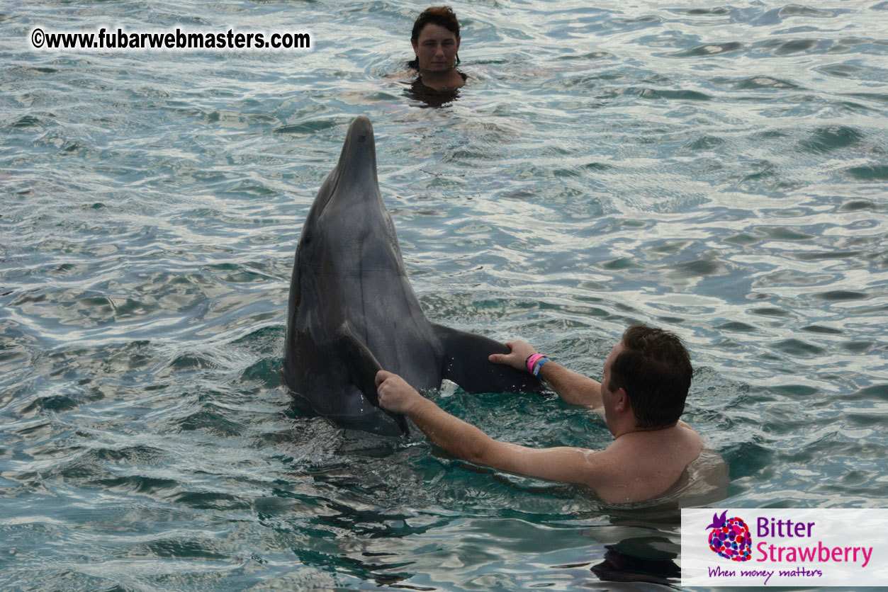 WireCard Dolphin Swim