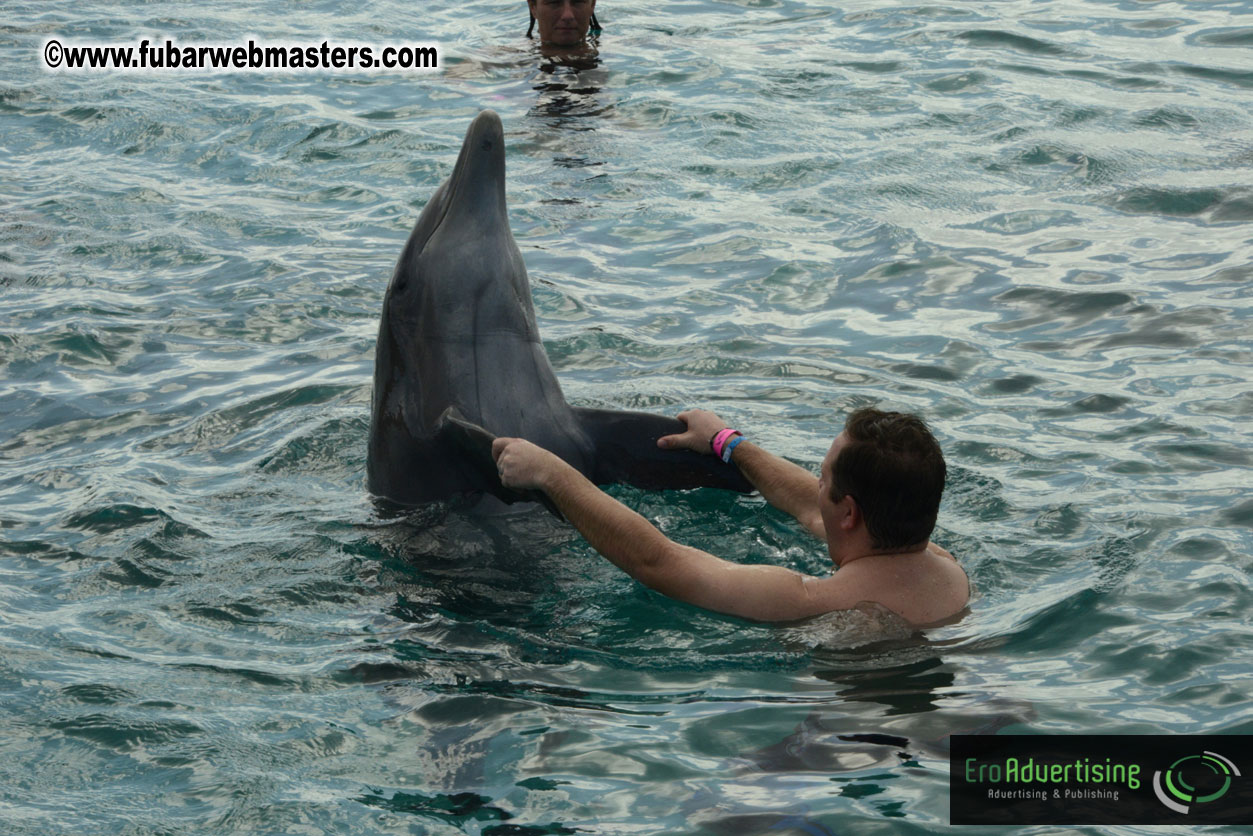 WireCard Dolphin Swim