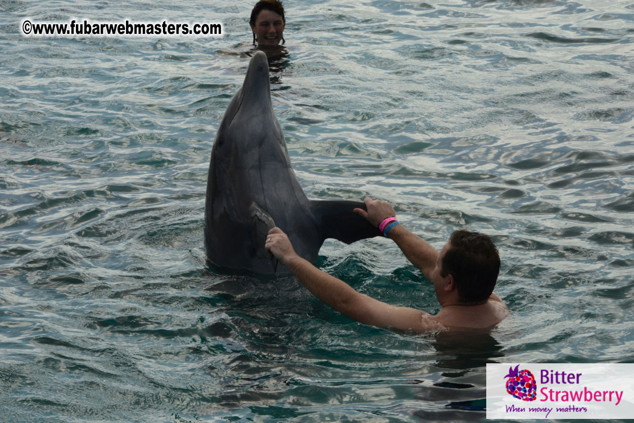 WireCard Dolphin Swim