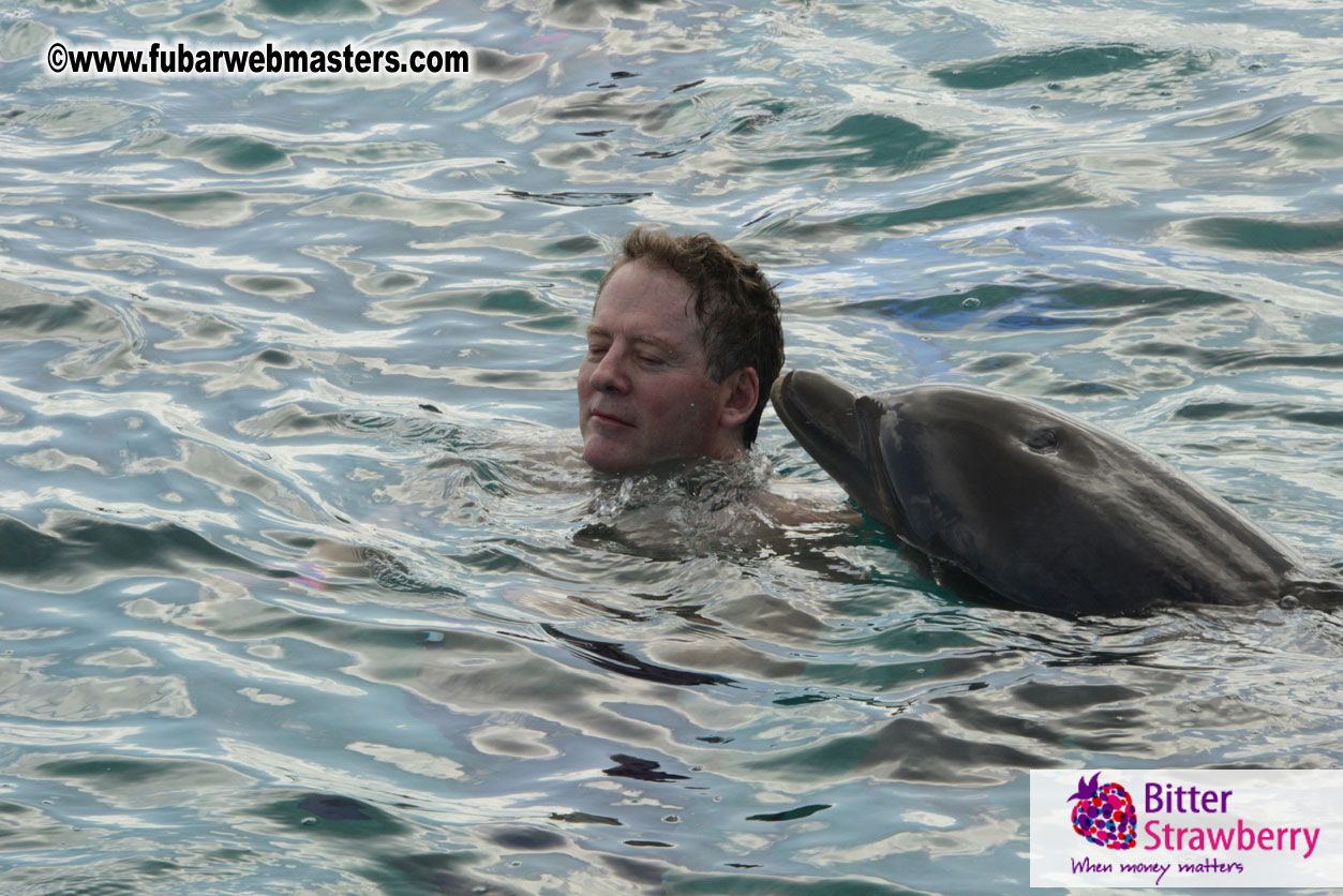 WireCard Dolphin Swim