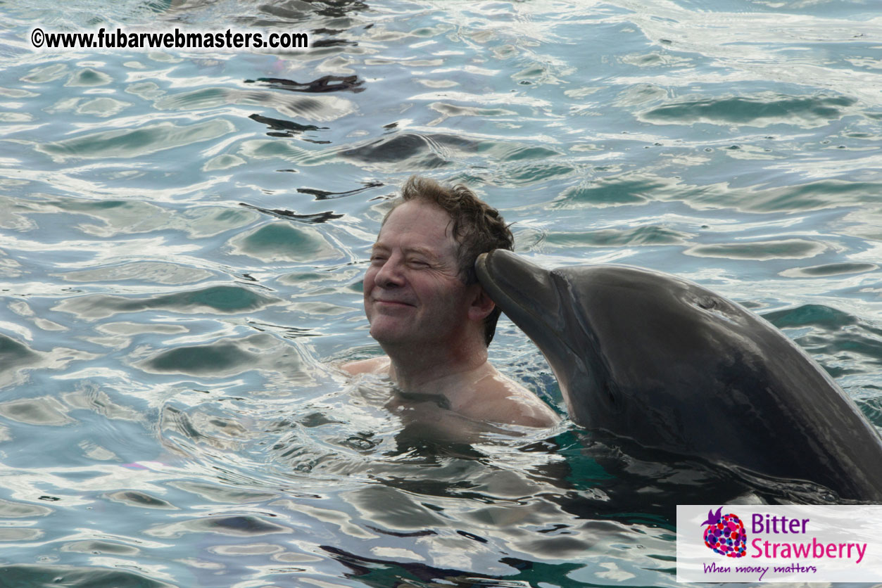 WireCard Dolphin Swim