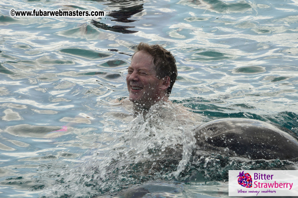 WireCard Dolphin Swim