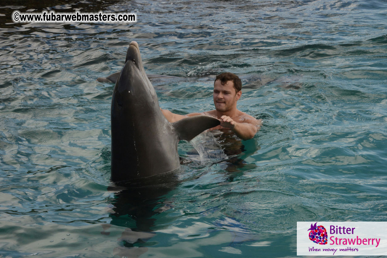 WireCard Dolphin Swim