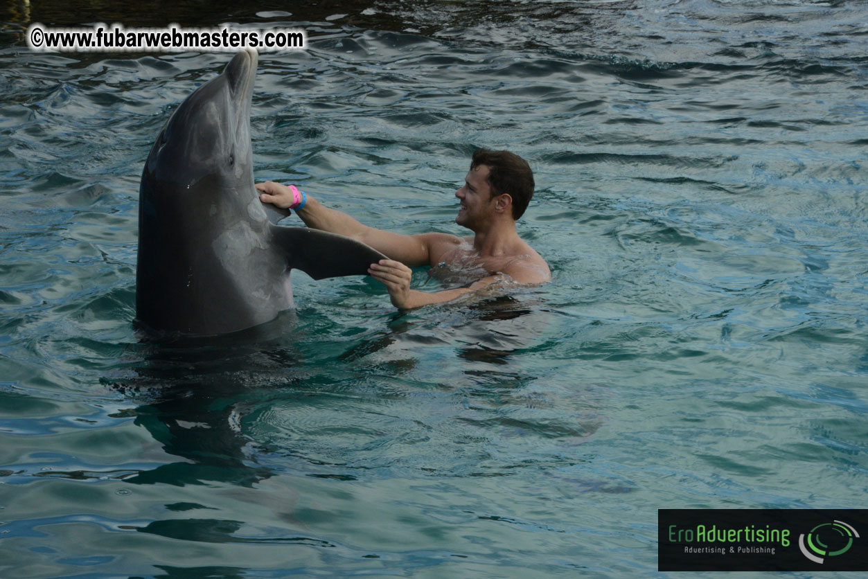 WireCard Dolphin Swim