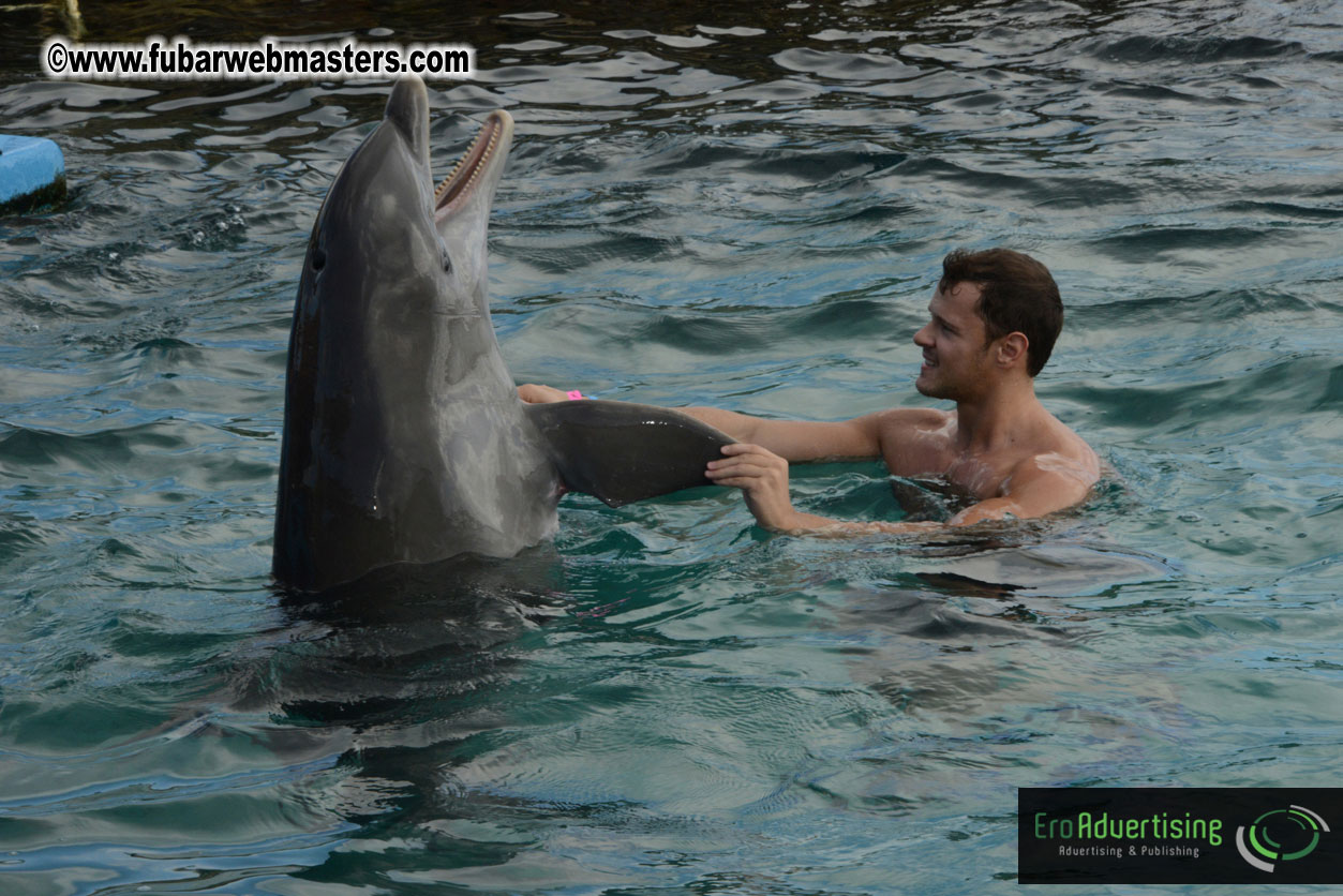 WireCard Dolphin Swim