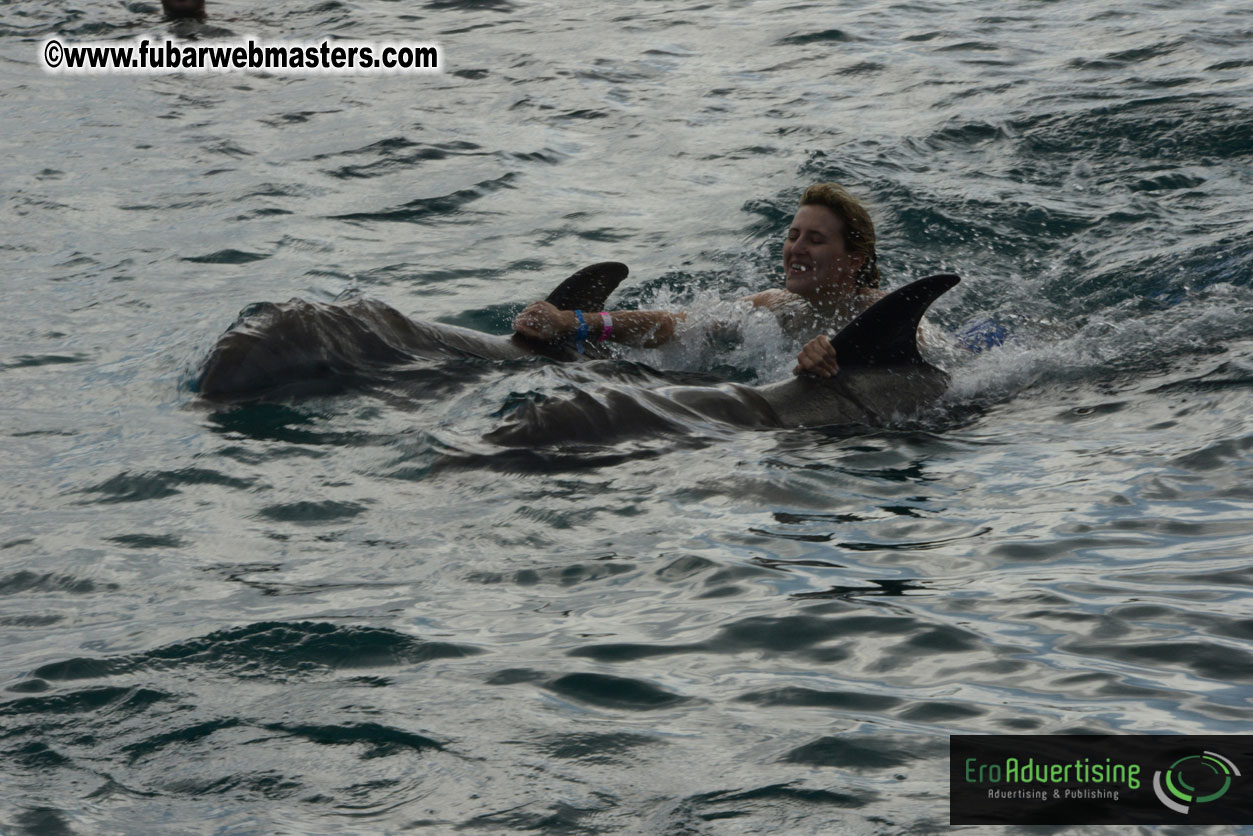 WireCard Dolphin Swim