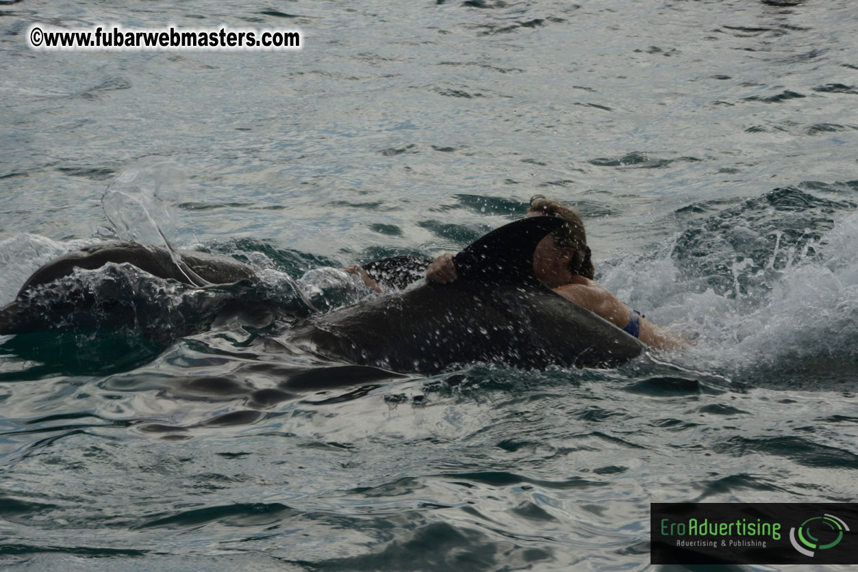 WireCard Dolphin Swim