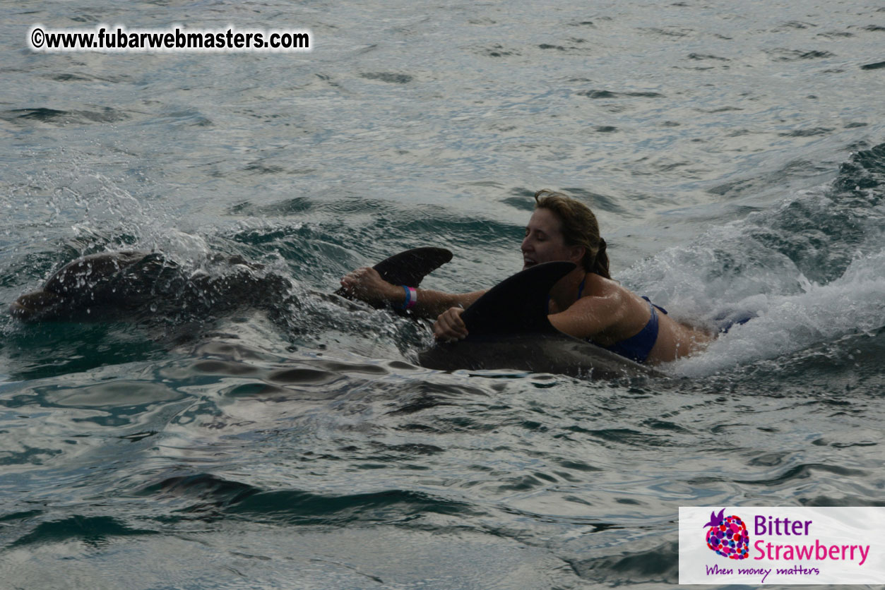 WireCard Dolphin Swim