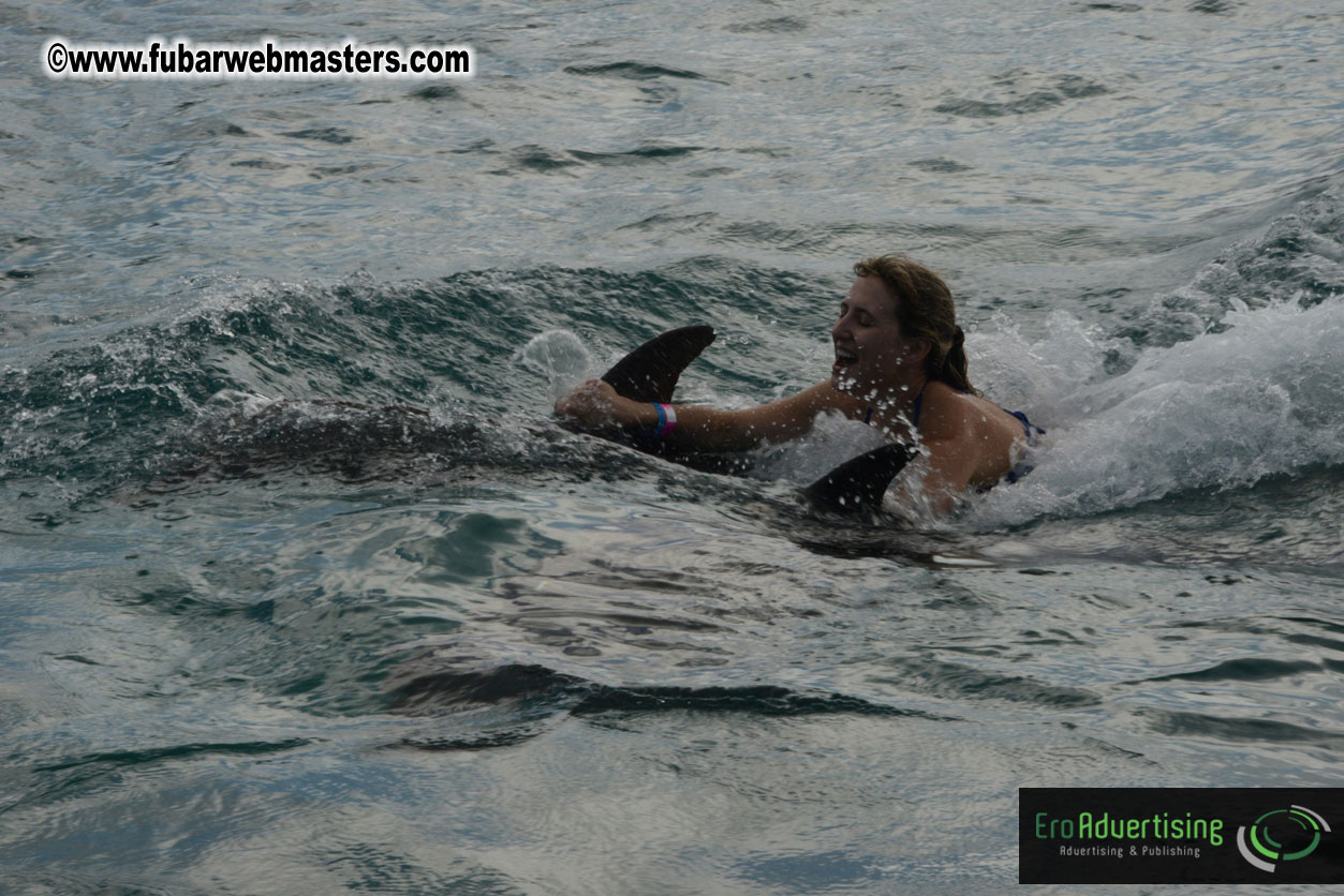 WireCard Dolphin Swim