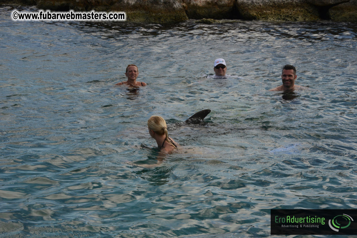 WireCard Dolphin Swim