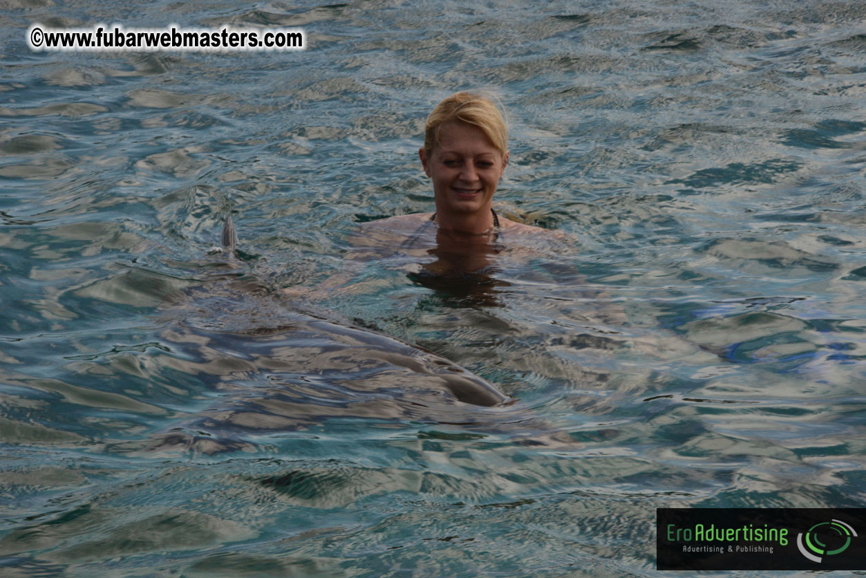 WireCard Dolphin Swim