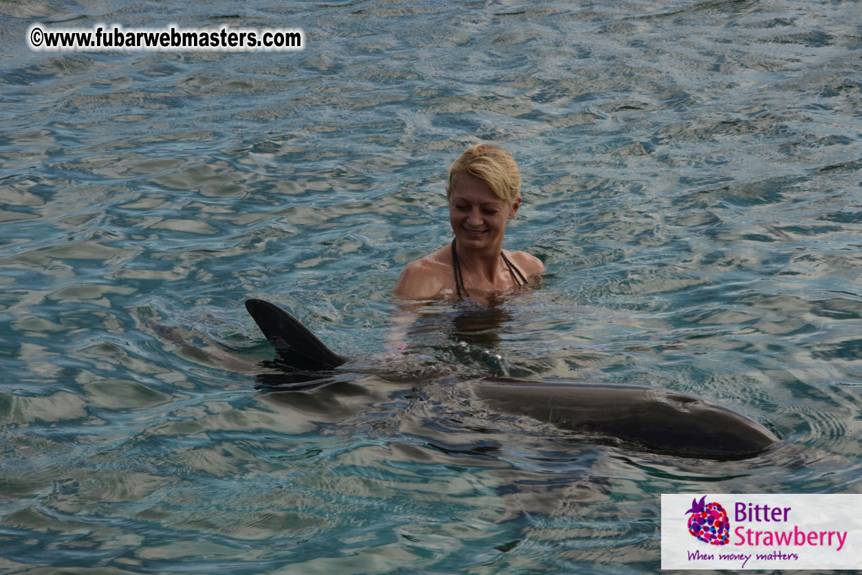 WireCard Dolphin Swim