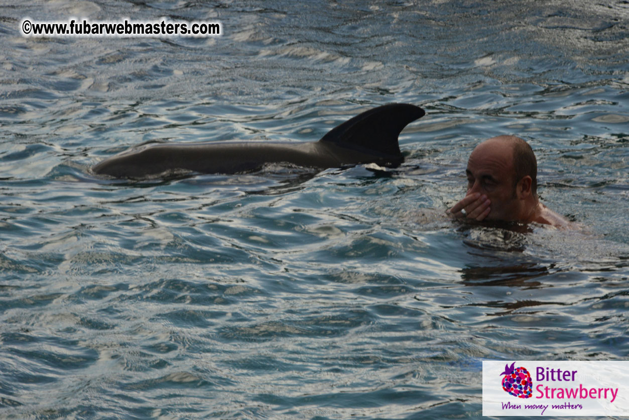 WireCard Dolphin Swim