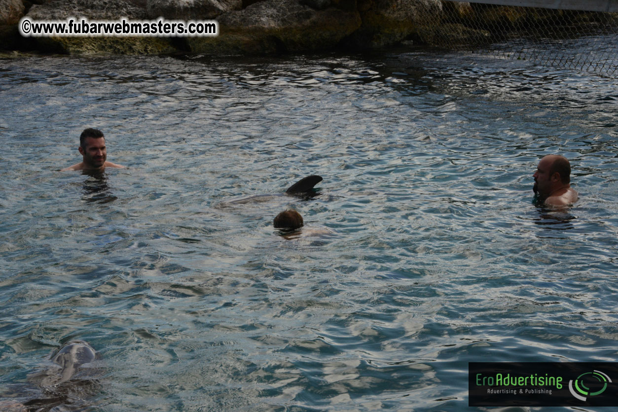 WireCard Dolphin Swim