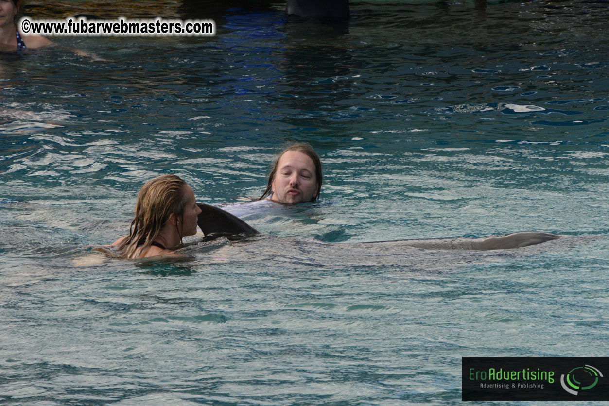 WireCard Dolphin Swim