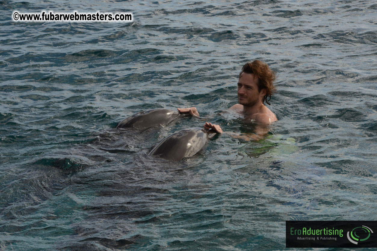 WireCard Dolphin Swim