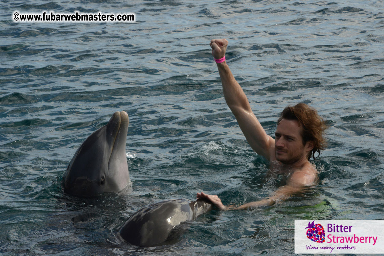 WireCard Dolphin Swim