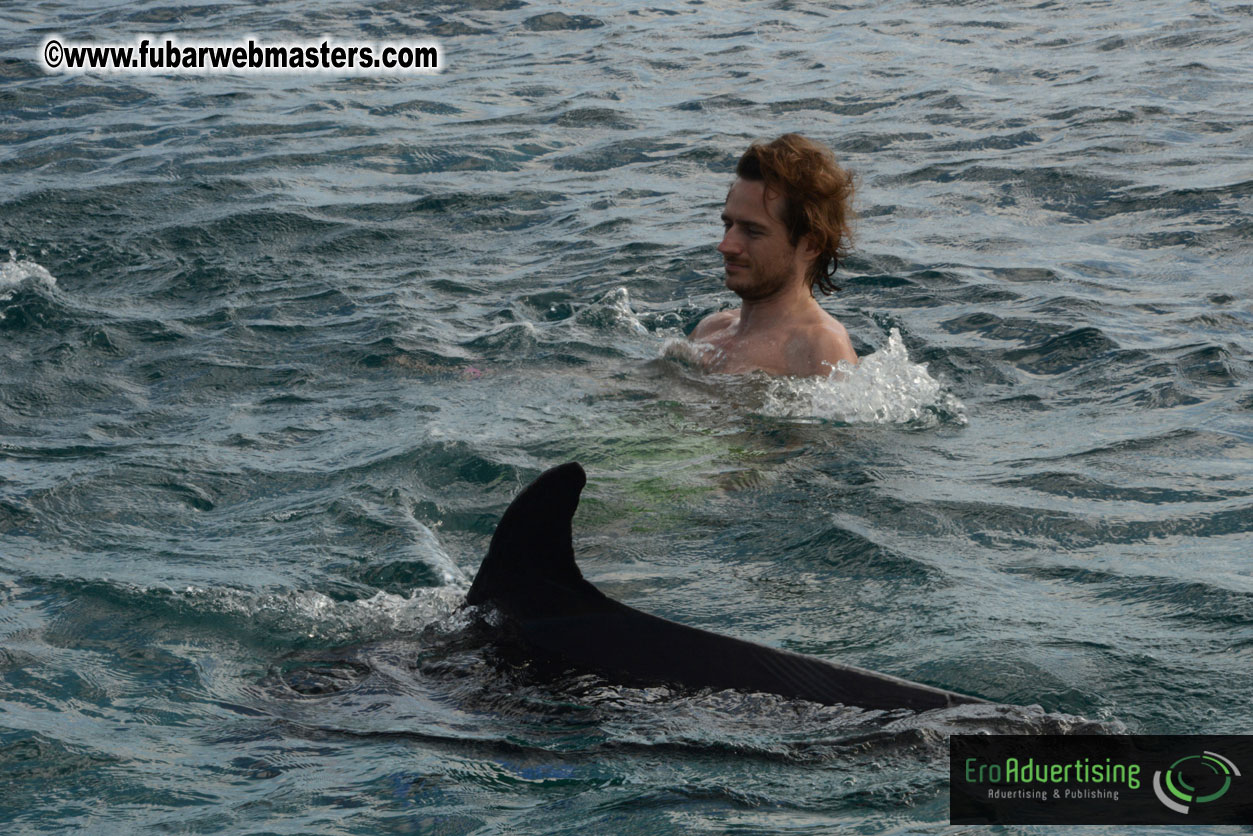 WireCard Dolphin Swim