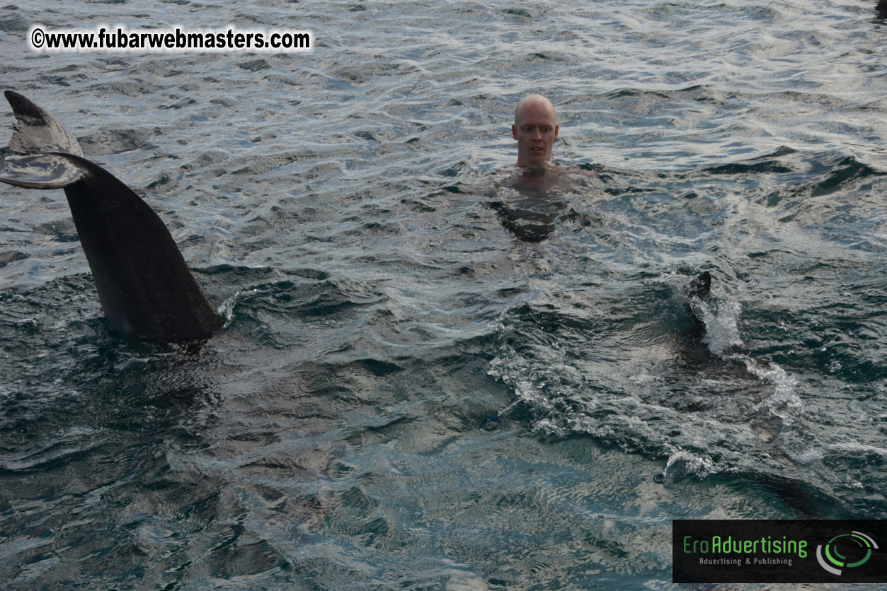 WireCard Dolphin Swim