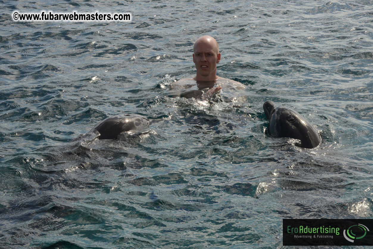 WireCard Dolphin Swim