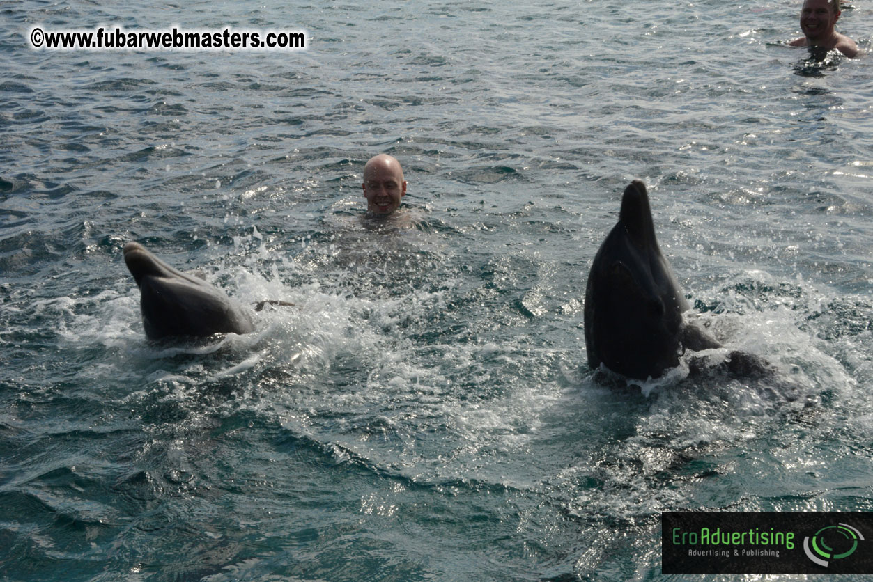 WireCard Dolphin Swim