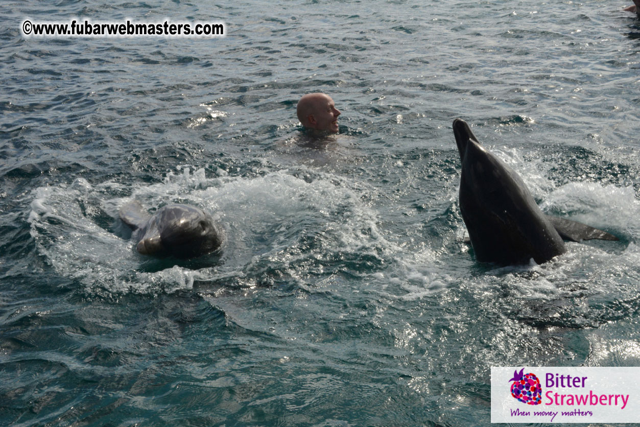 WireCard Dolphin Swim