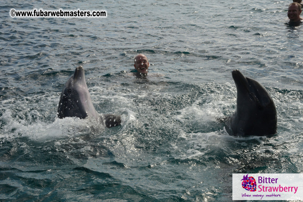 WireCard Dolphin Swim