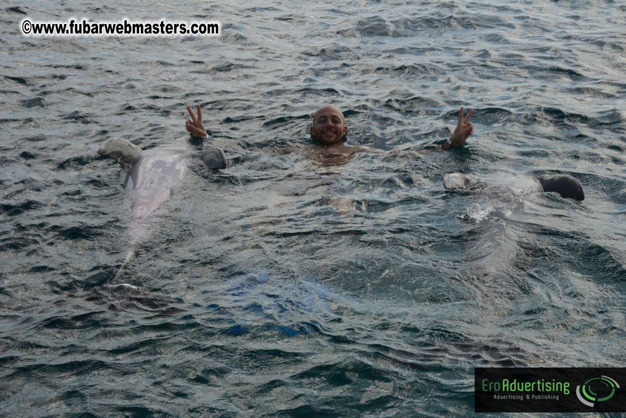 WireCard Dolphin Swim