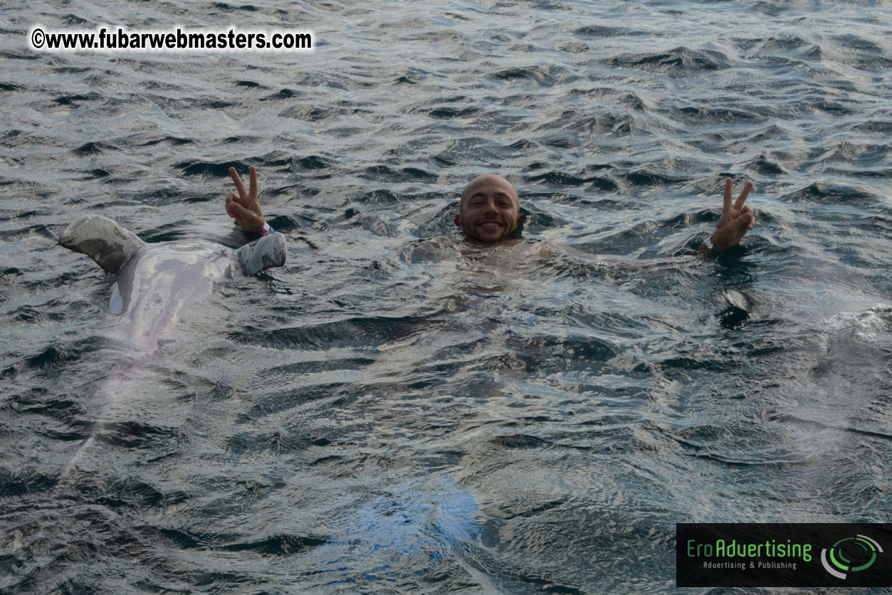 WireCard Dolphin Swim