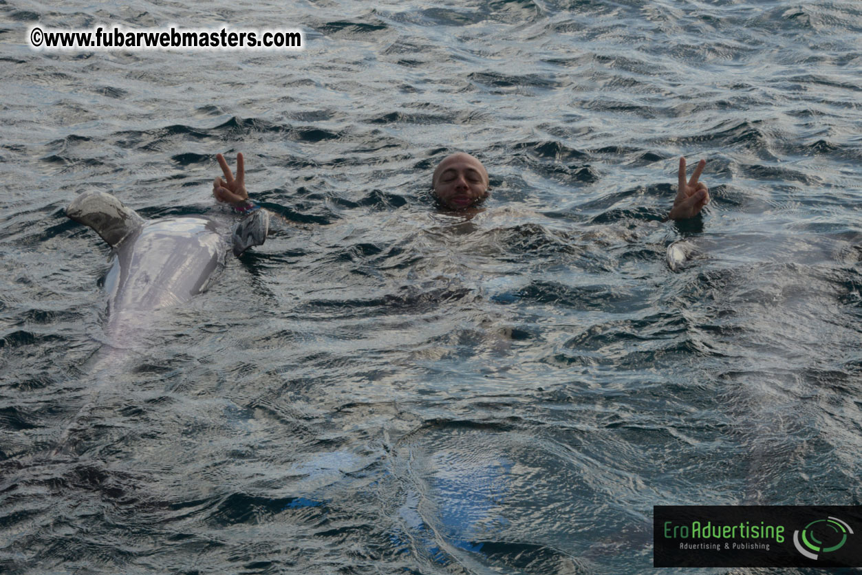 WireCard Dolphin Swim