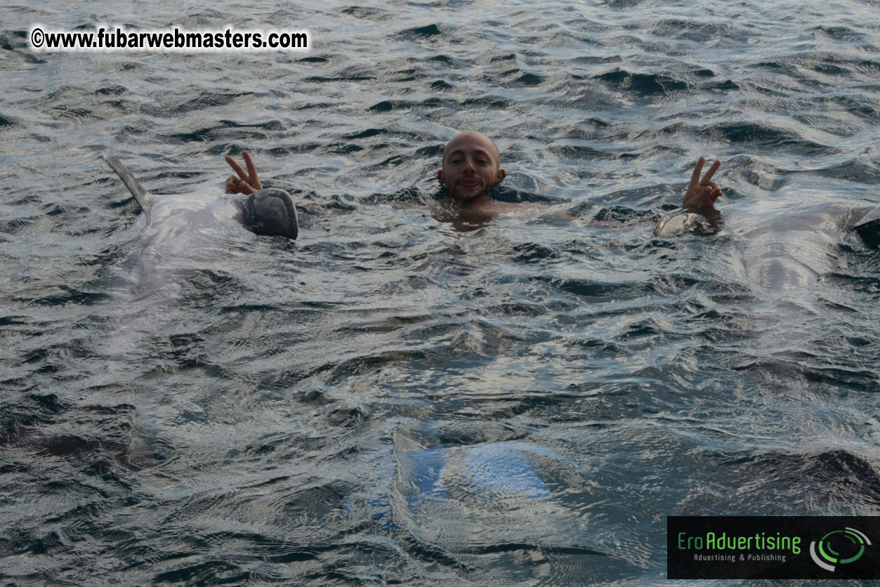 WireCard Dolphin Swim