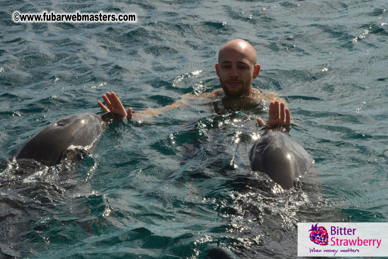 WireCard Dolphin Swim