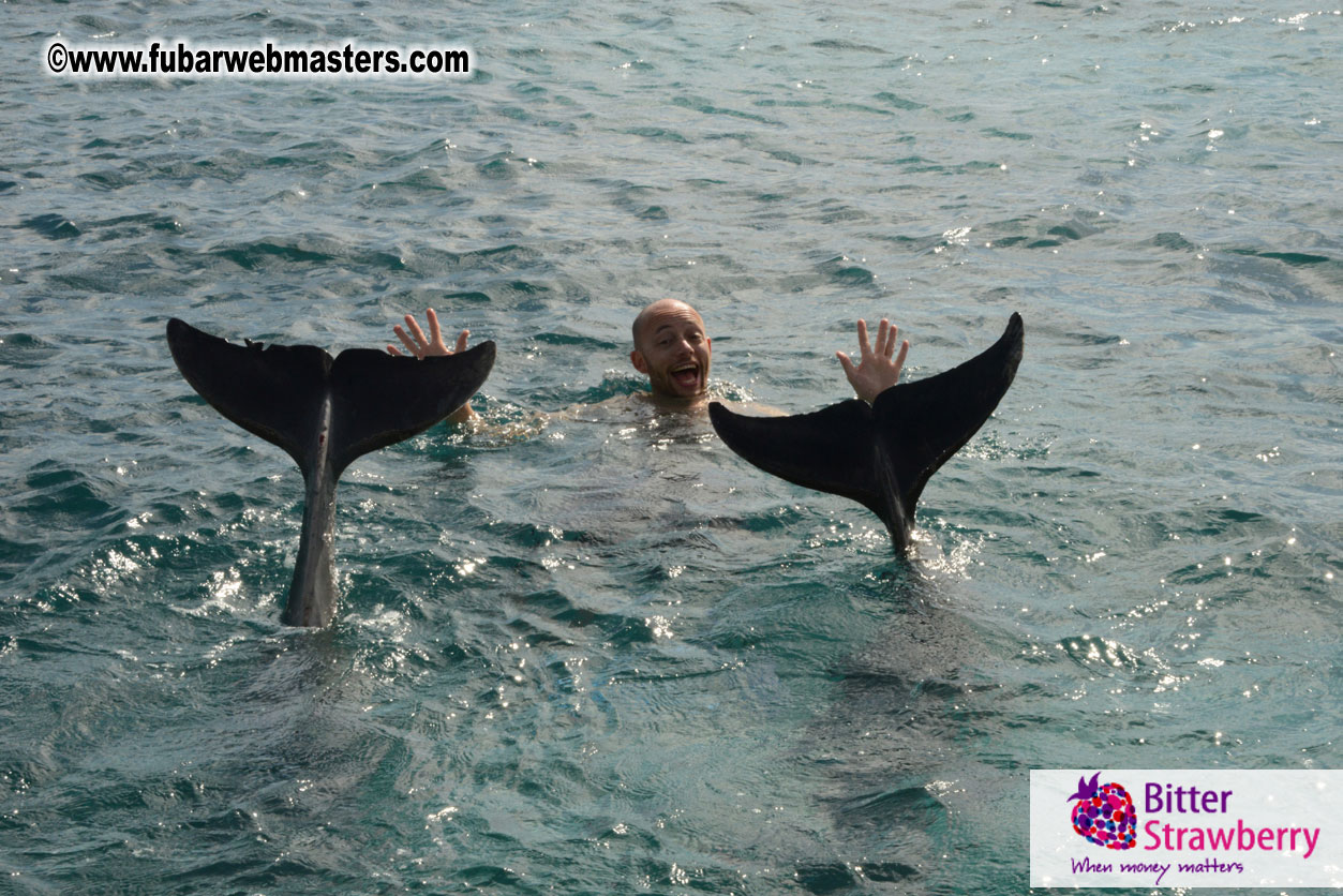 WireCard Dolphin Swim