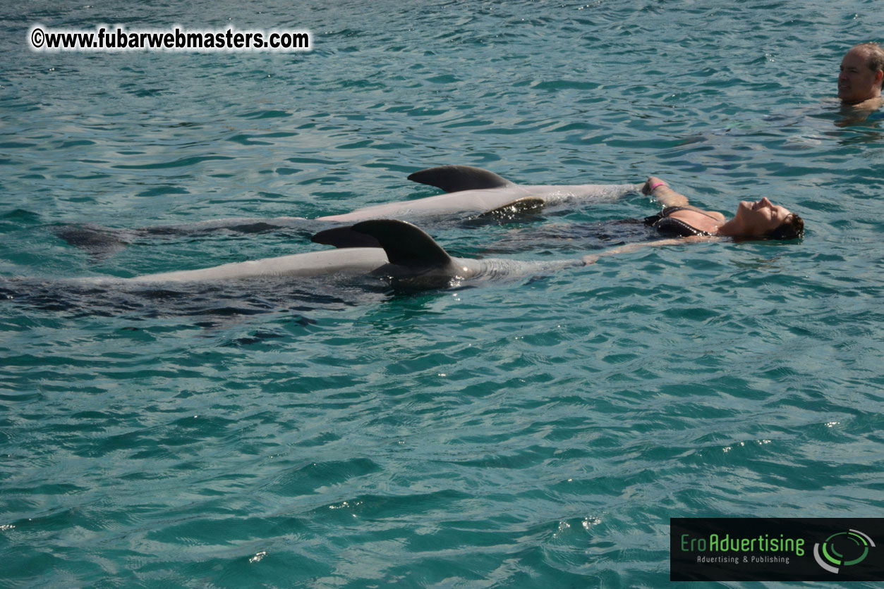 WireCard Dolphin Swim