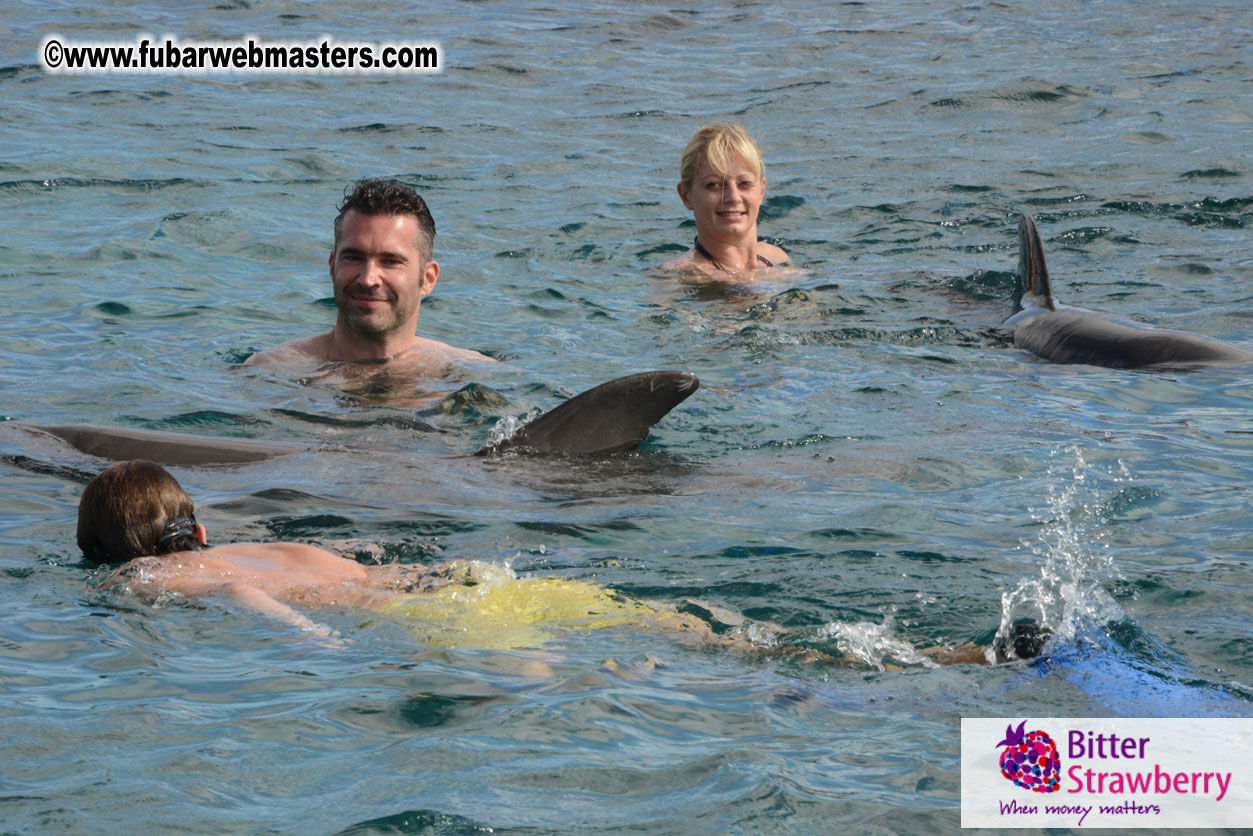 WireCard Dolphin Swim